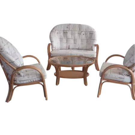 SALON EN ROTIN