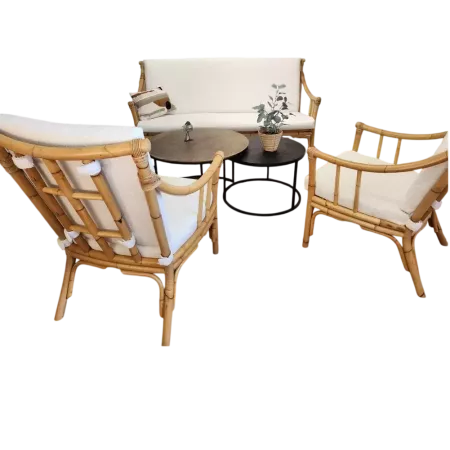 salon en rotin