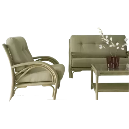 salon en rotin