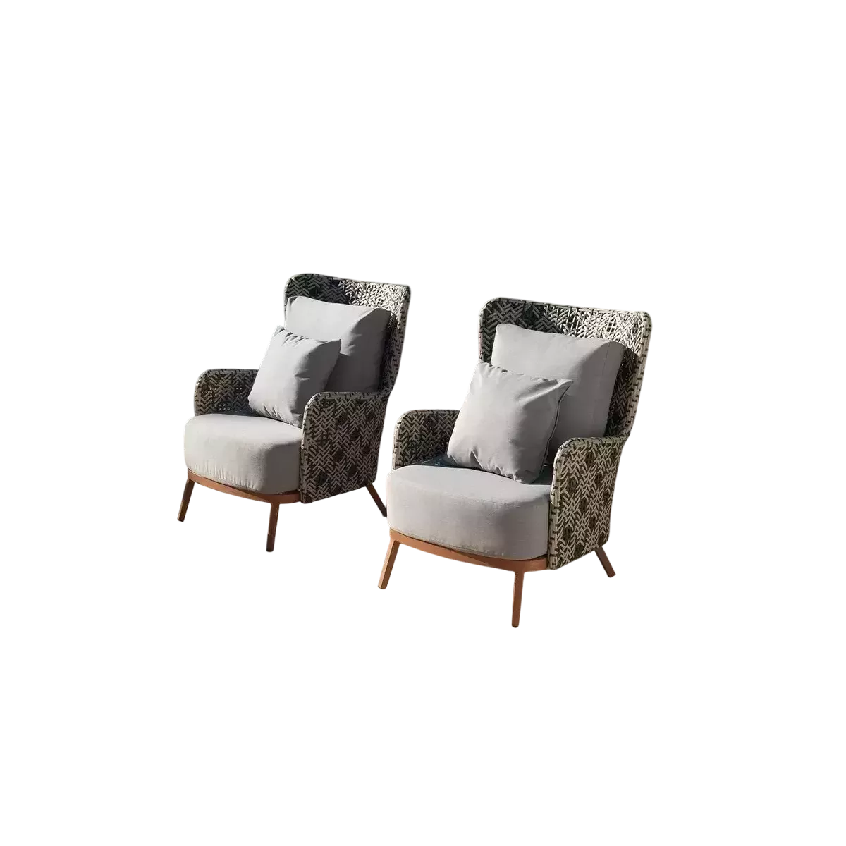 Ensemble 2 Fauteuils