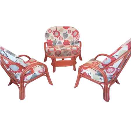 salon en rotin