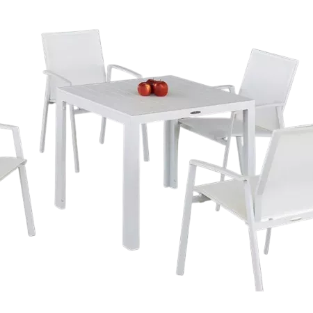 TABLE EXTERIEUR