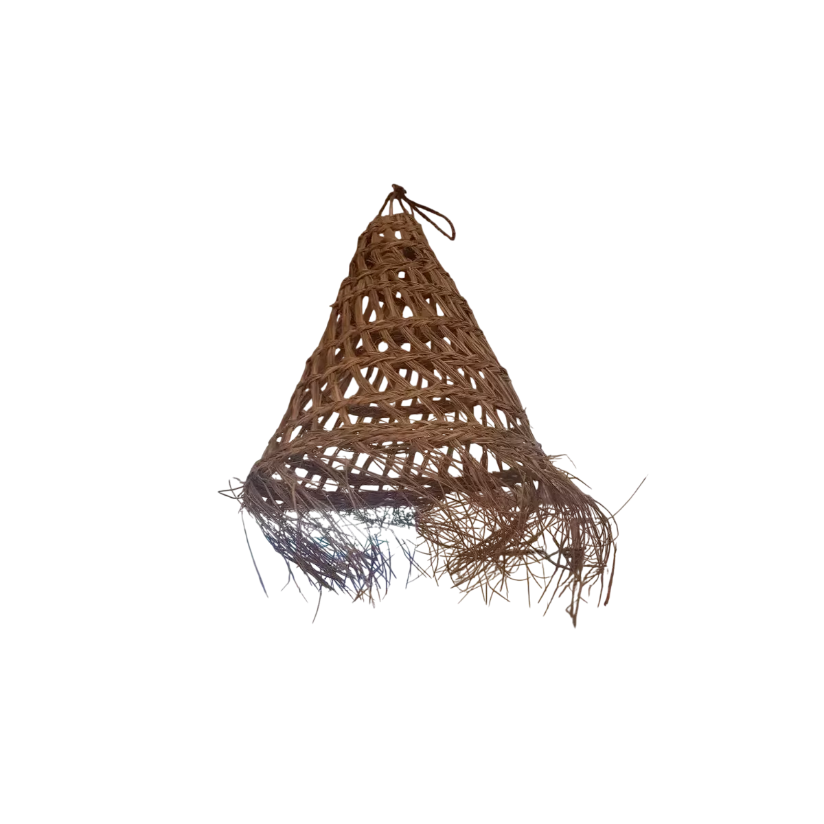Suspension Puri
