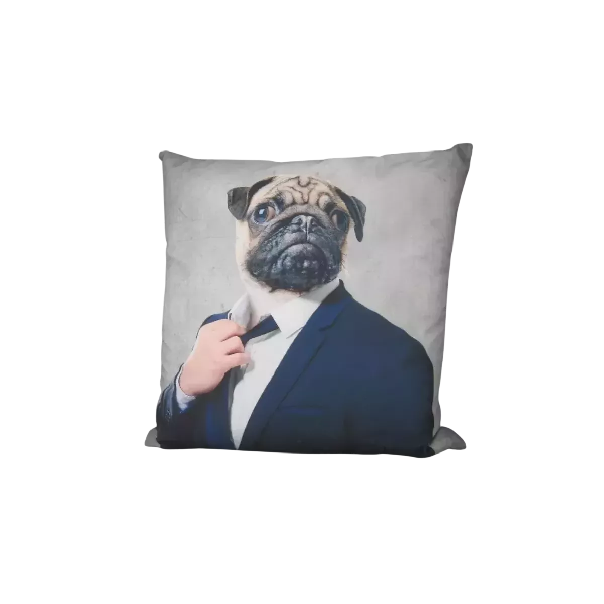 Coussin Chien Cabotin