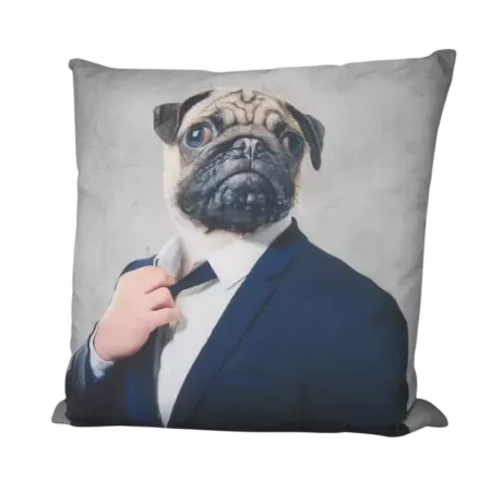 coussin