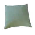 Coussin Outdoor Vert