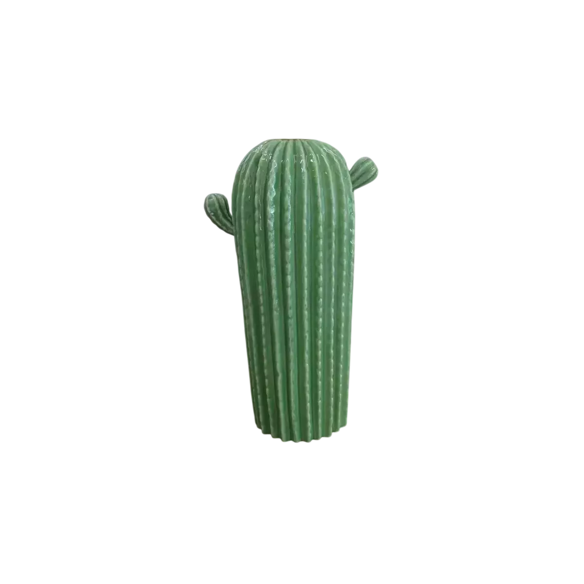 Cactus Cylindrique Vert
