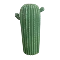 Cactus Cylindrique Vert