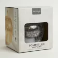 Lampe Led Pomme Argent 16x16