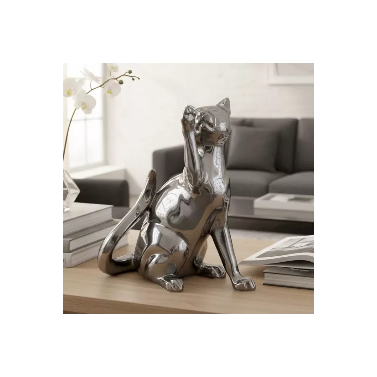Chat Joueur Patine Gris