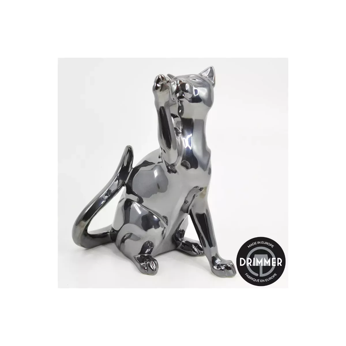 Chat Joueur Patine Gris
