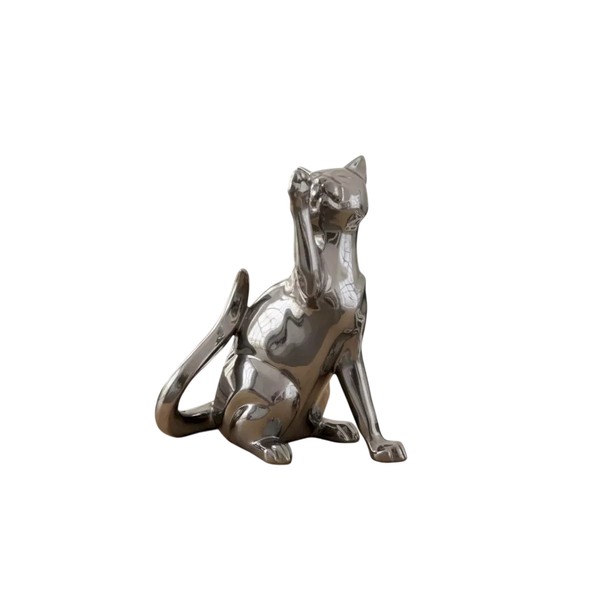 Chat Joueur Patine Gris