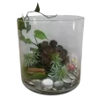 Vase Transparent