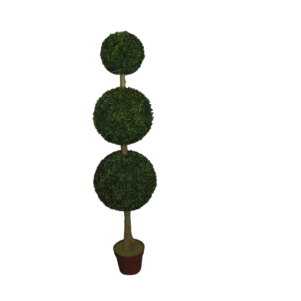 Arbre 3 boules buis