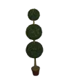 Arbre 3 boules buis