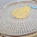 Plateau et Cloche  à fromage décors poire 40cm