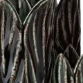 Vase Fleur Bleu Pétrole h36
