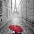 Tableau Paris/Parapluie 80x120