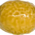 Citron pate en céramique 9x6