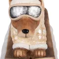 Chien Teckel Larry Doudoune 53x29