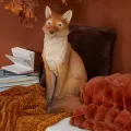 Statue Renard Assis H55