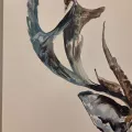 Tableau Tête de Cerf 54x54