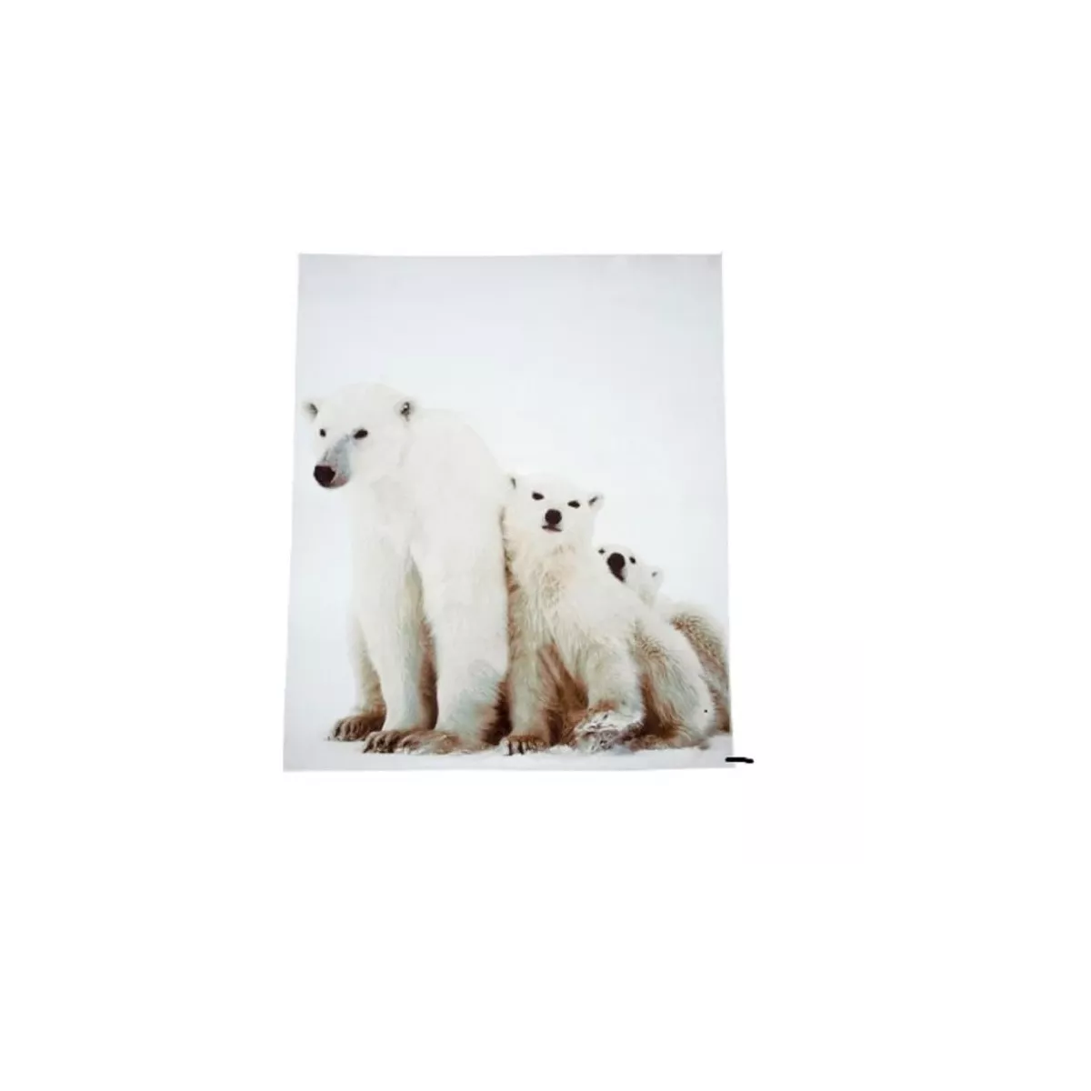 Plaid Ours 140x160
