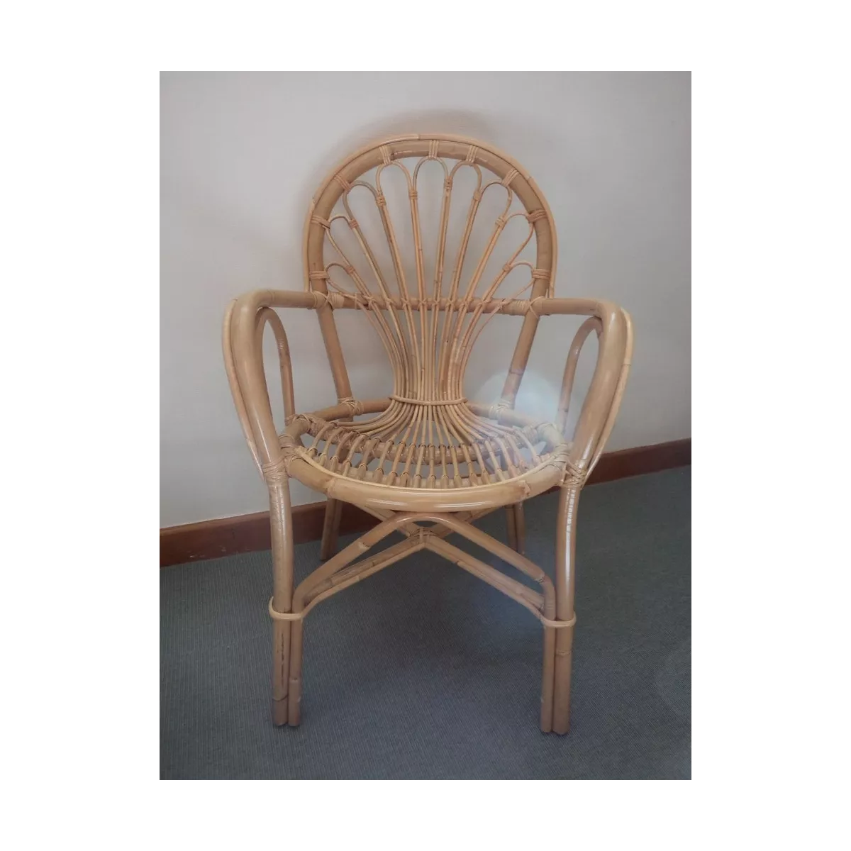 Fauteuil Palmito
