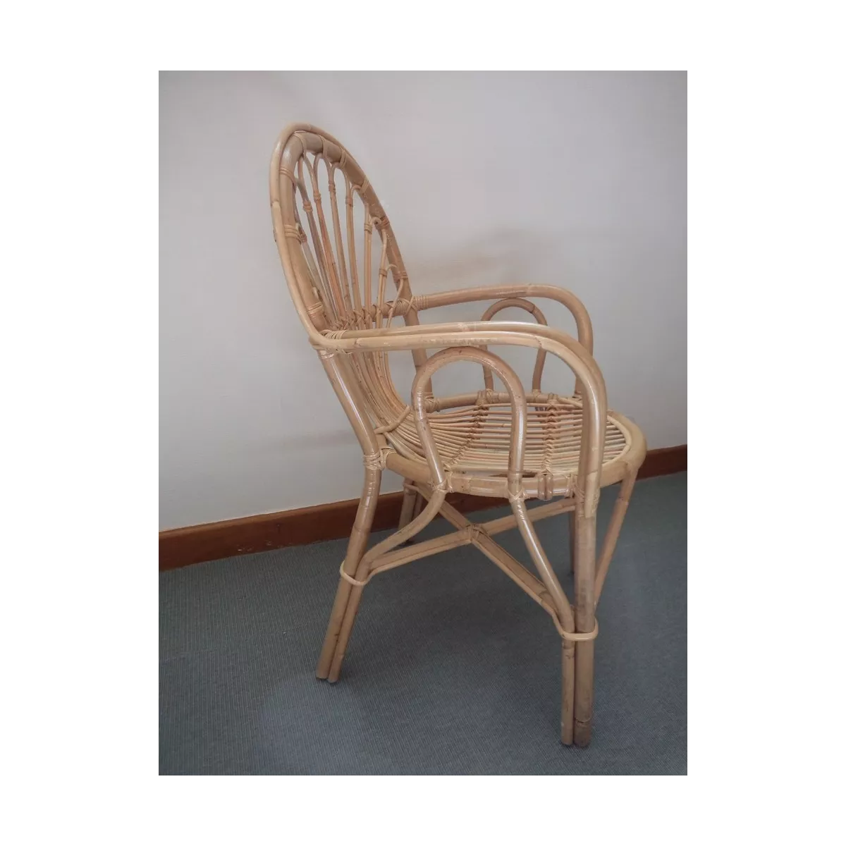 Fauteuil Palmito