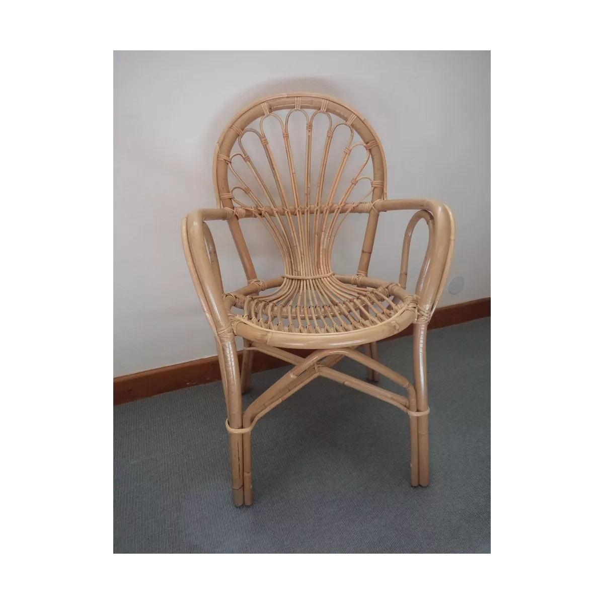 Fauteuil Palmito