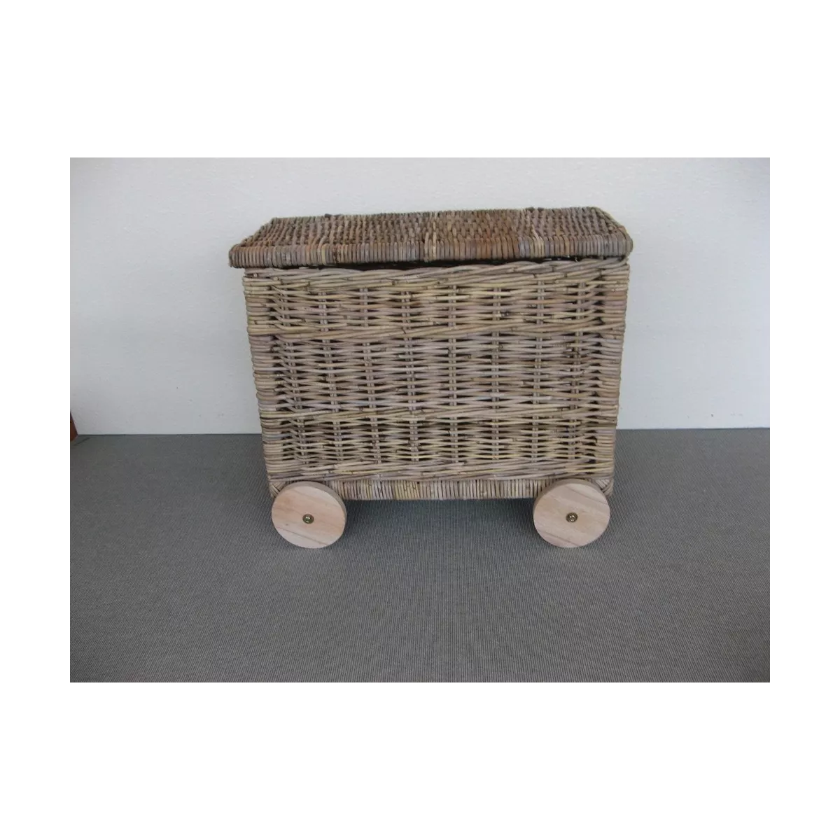 Malle des Gones sur roulettes 70x35