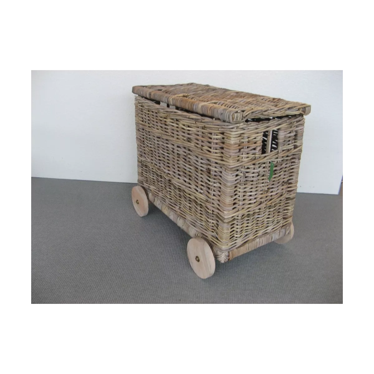 Malle des Gones sur roulettes 70x35