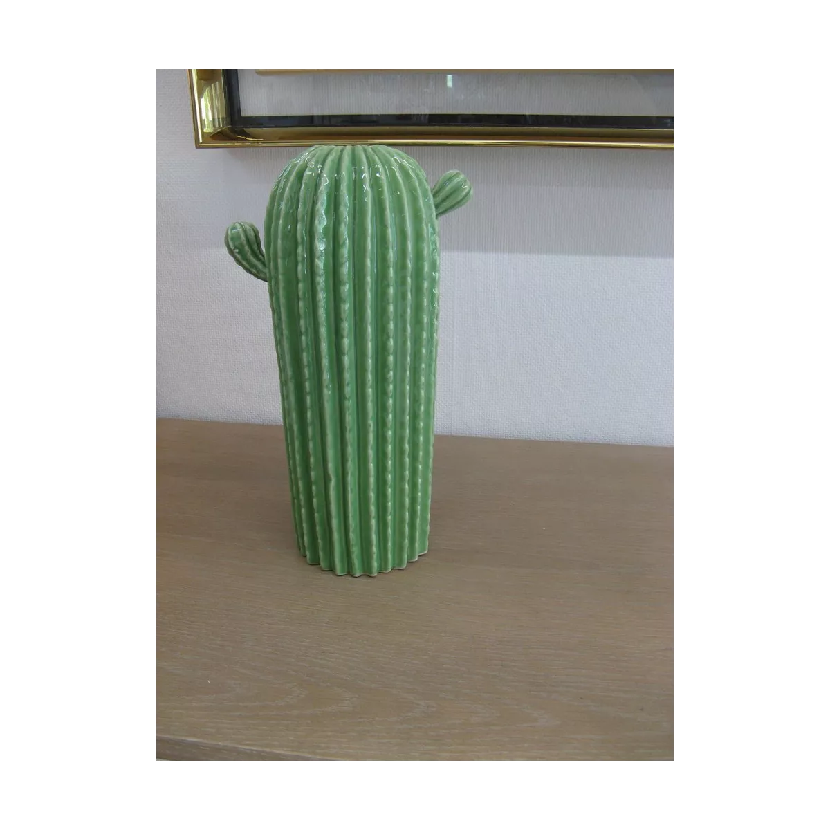 Cactus Cylindrique Vert