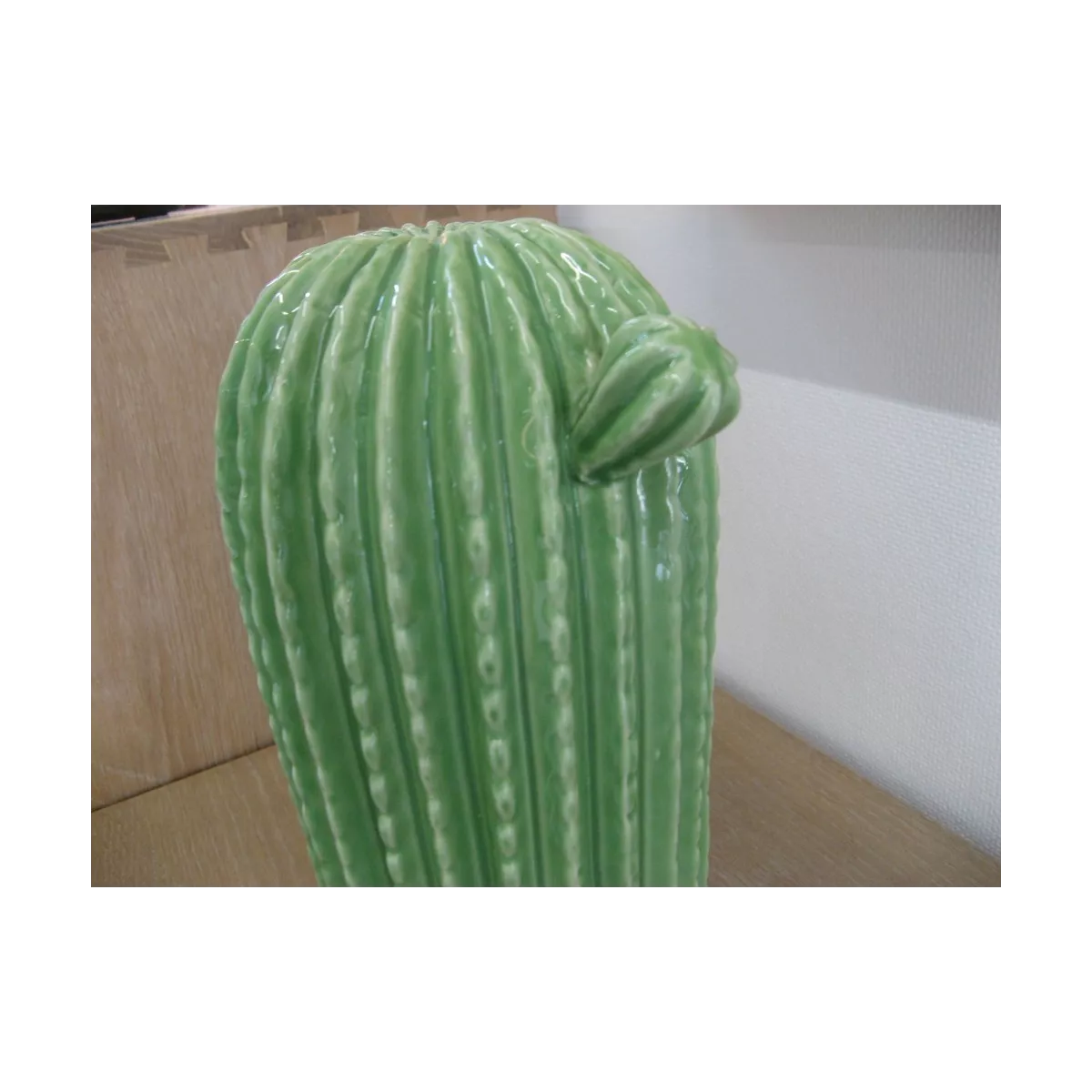 Cactus Cylindrique Vert