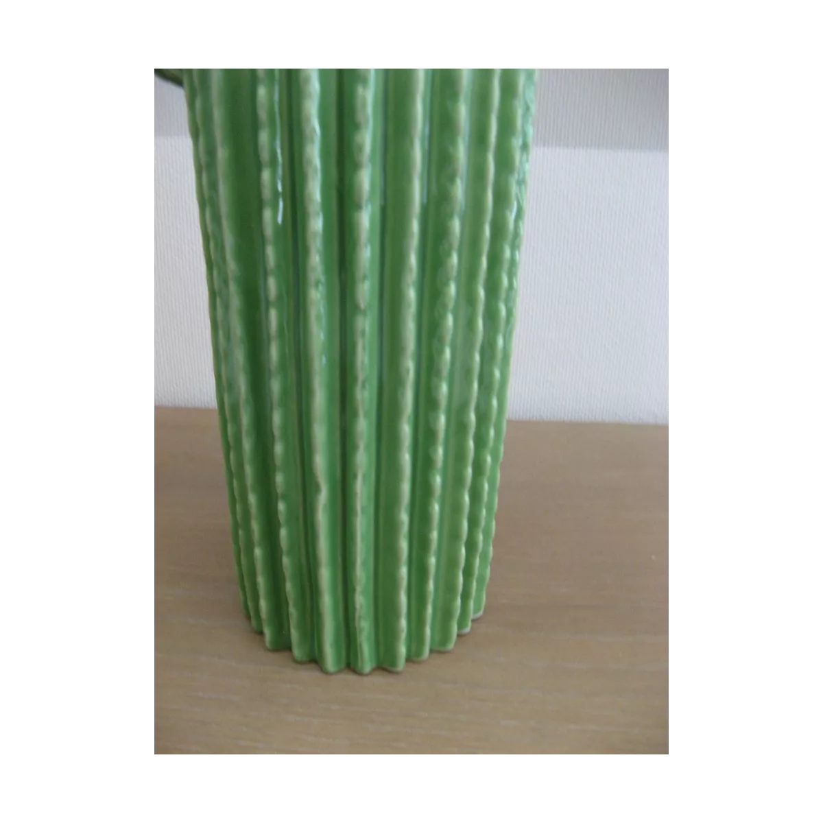 Cactus Cylindrique Vert