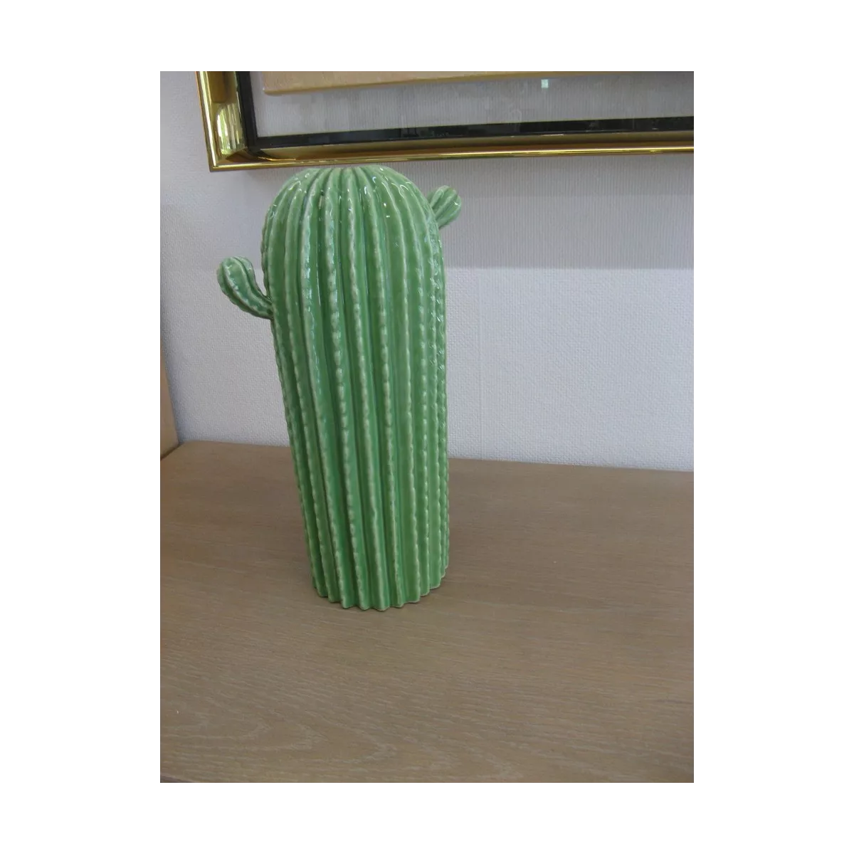 Cactus Cylindrique Vert