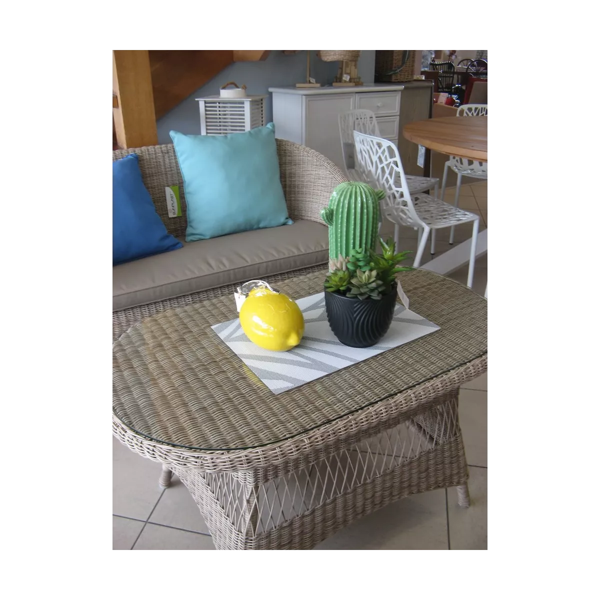 Cactus Cylindrique Vert
