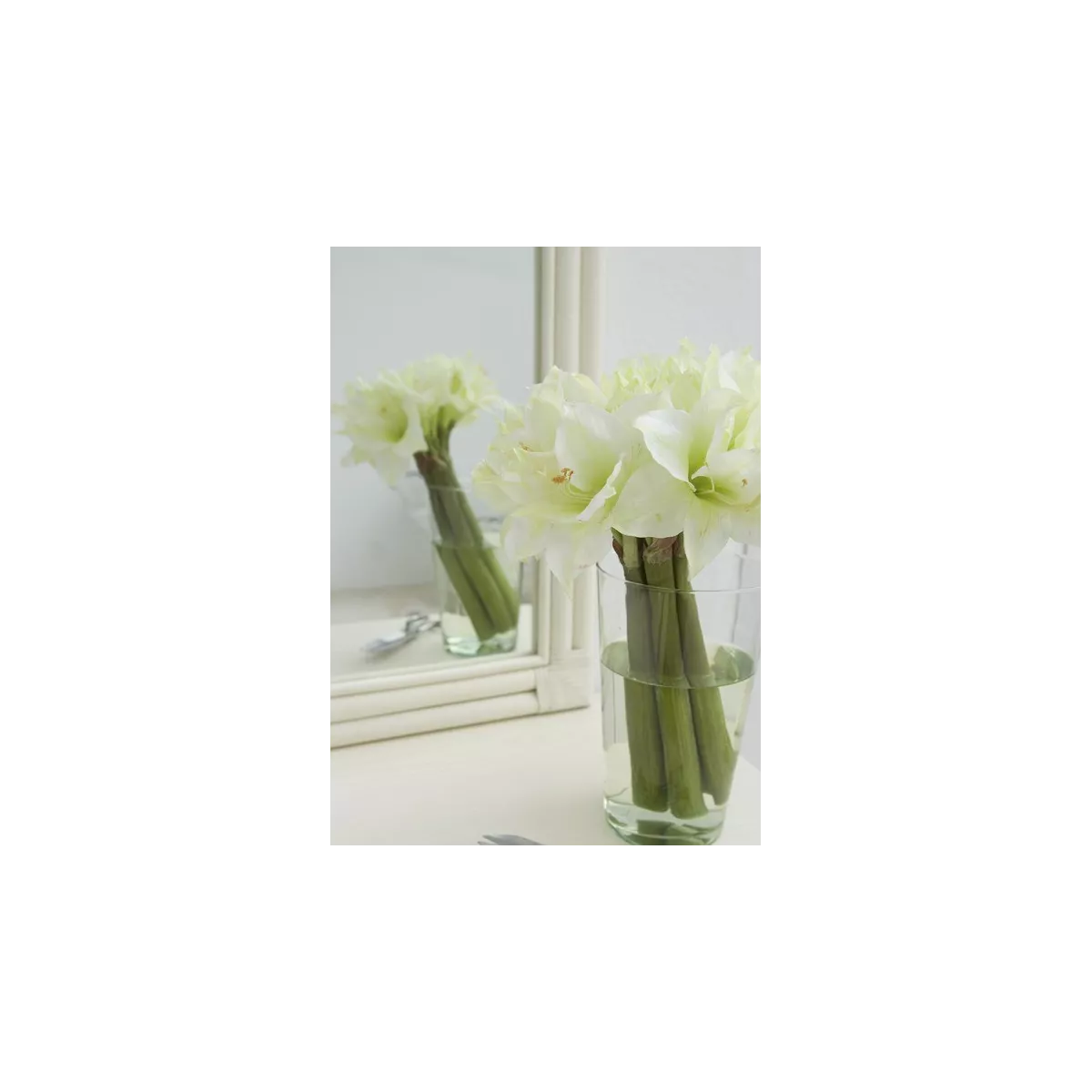 Miroir Rotin Caracas 52x72 Ivoire