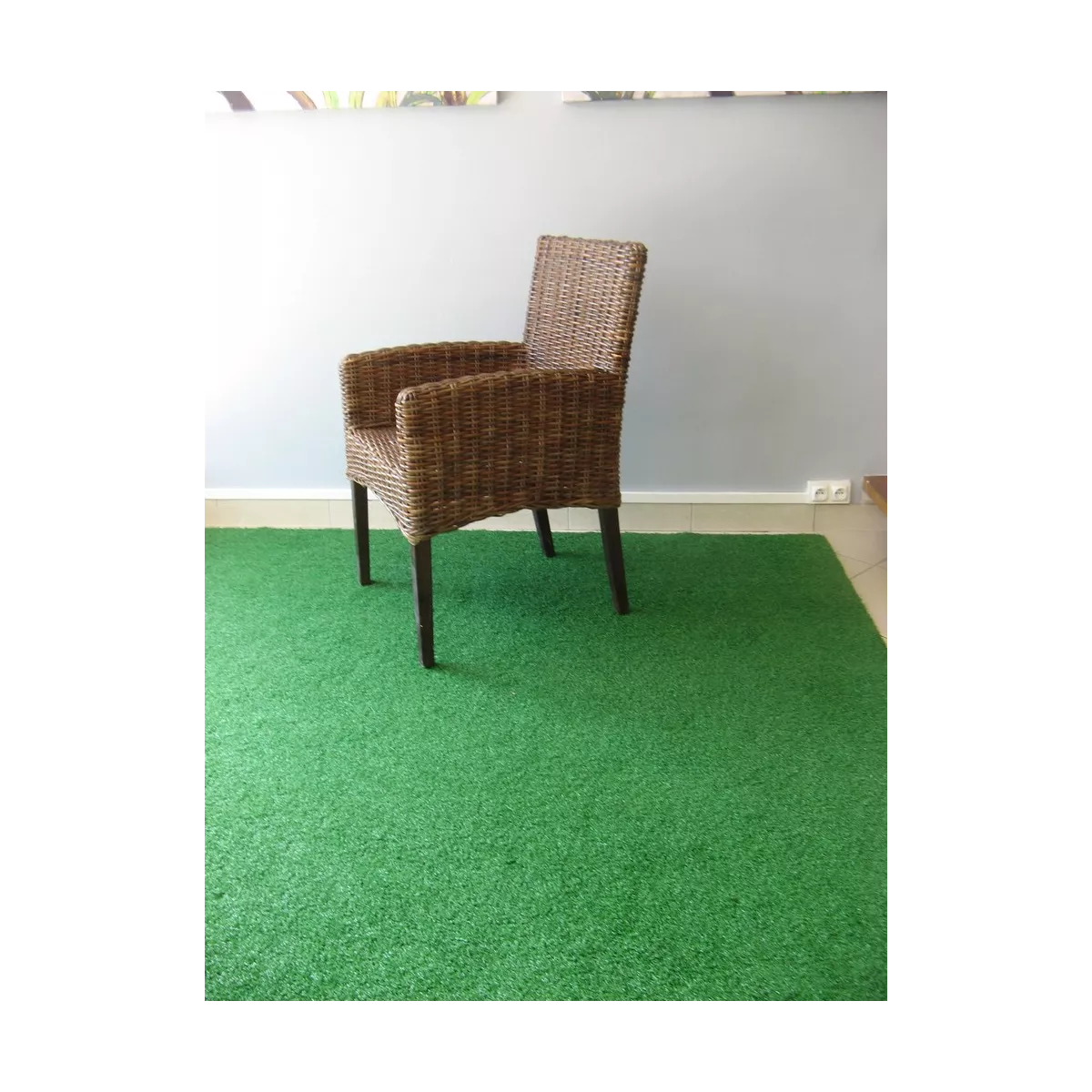 Fauteuil Croco