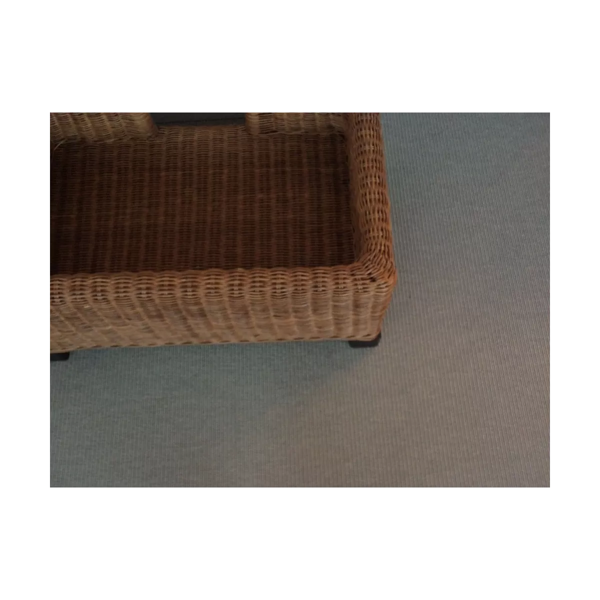 Panier pour Animal de Compagnie