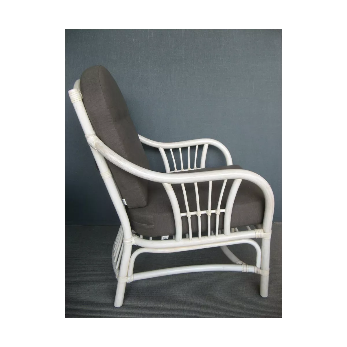 Fauteuil Leonis