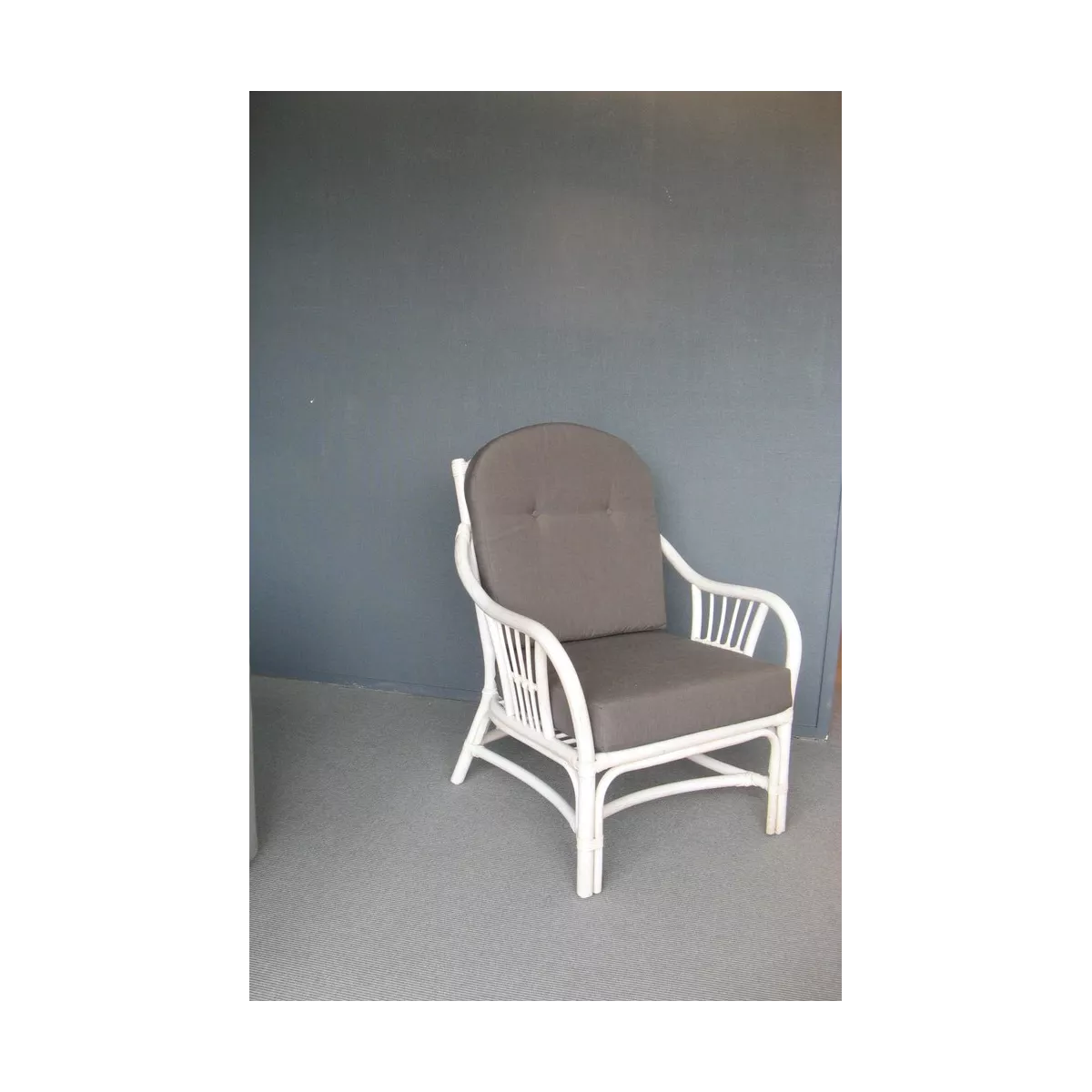 Fauteuil Leonis