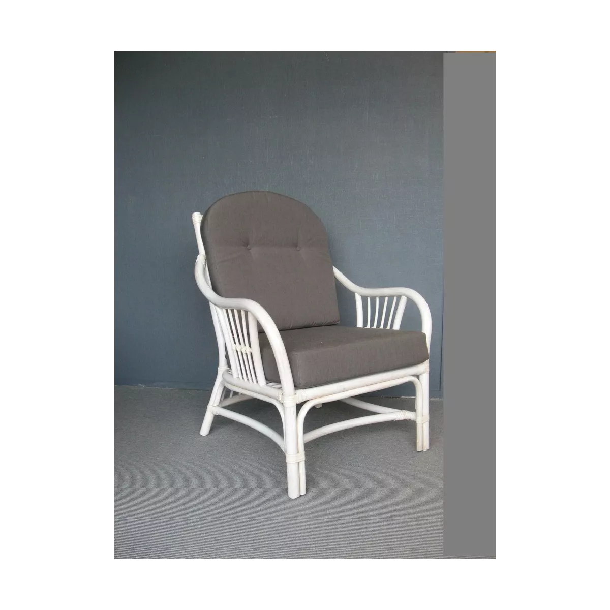 Fauteuil Leonis