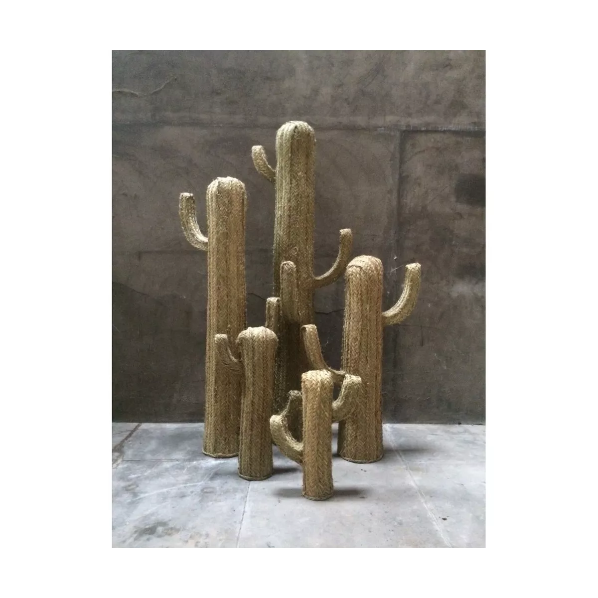 Cactus Fibre nature 70 cm