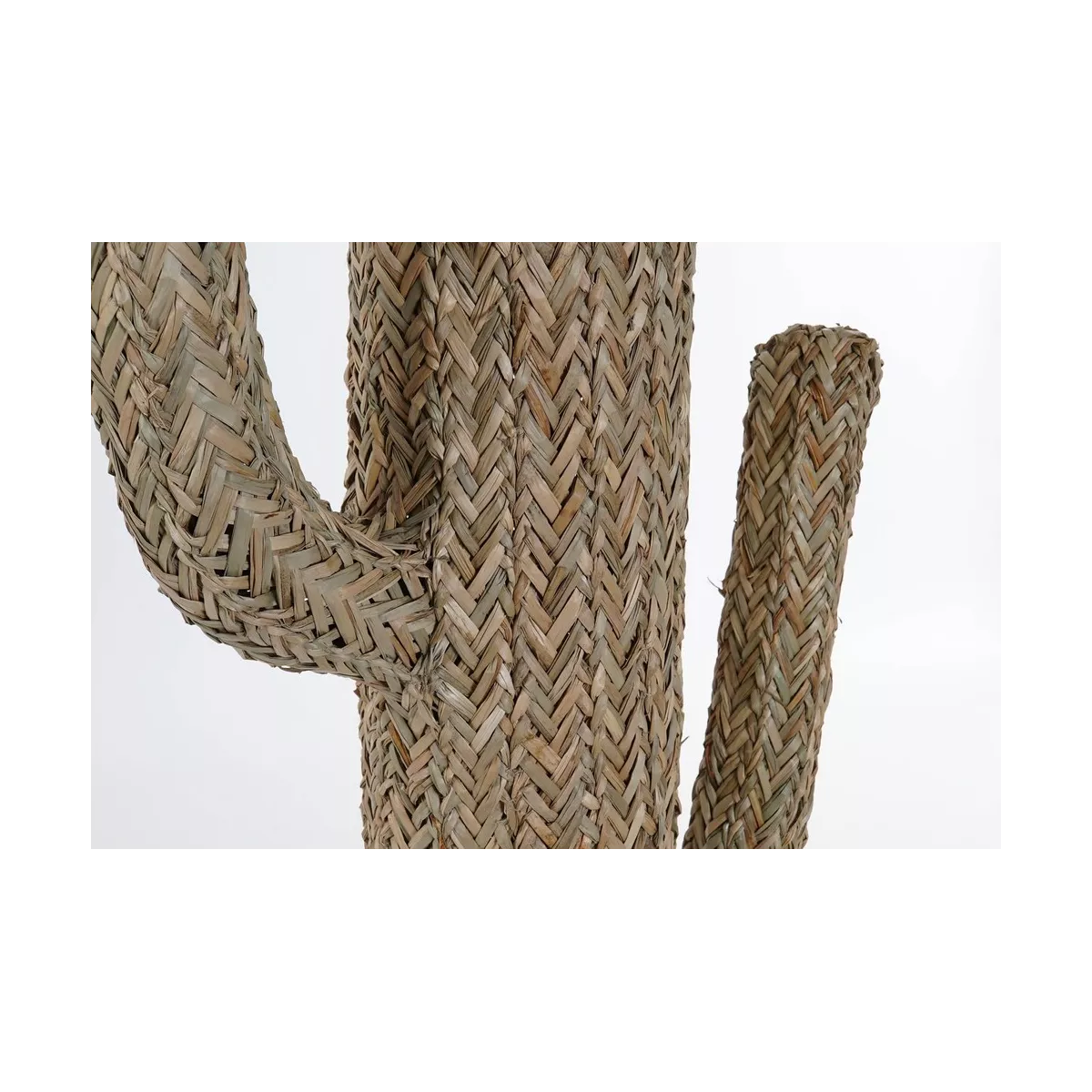 Cactus Fibre nature 70 cm