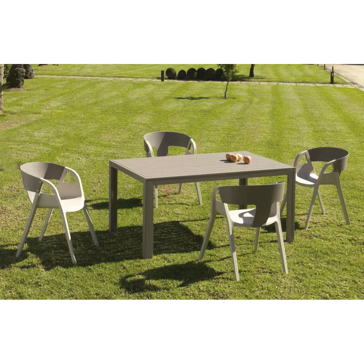 Fauteuil Repas Tripoli