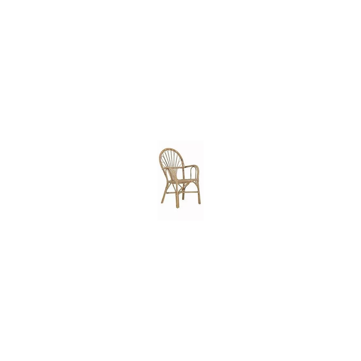 Fauteuil Palmito