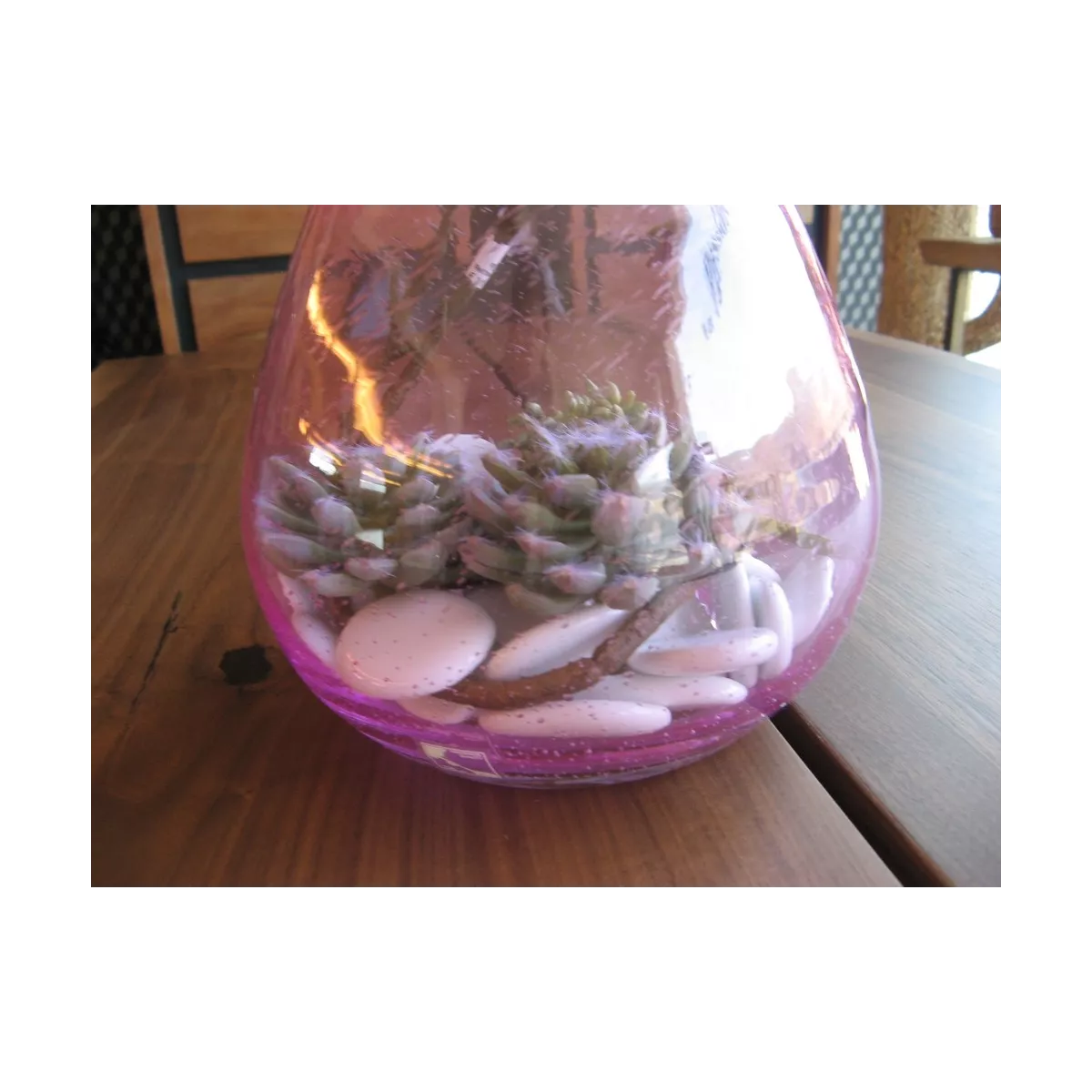 Vase Transparent Piperi Rose
