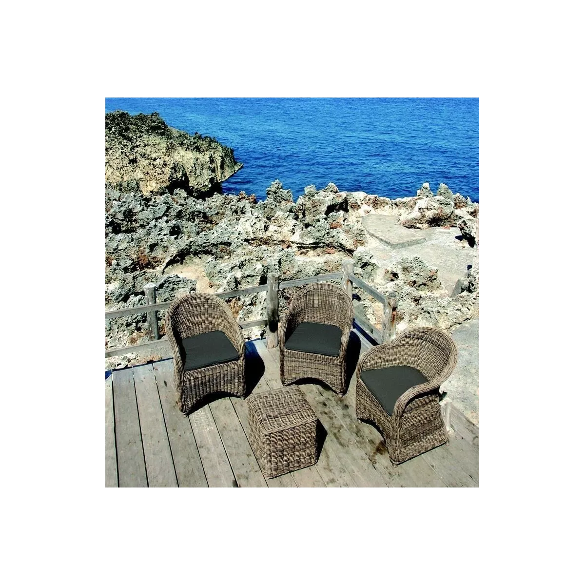 Fauteuil de repas Darwin