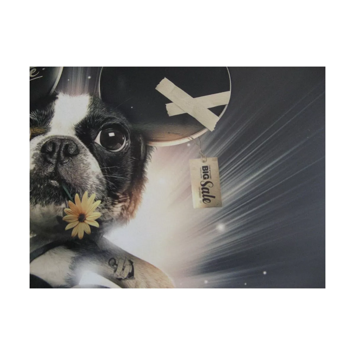 Tableau Binet Mickey Chien